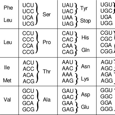 The Codon Table The Genetic Code Is Composed Of Four Different Letters Download Scientific Diagram The Codon Table The Genetic Code Is Composed Of Four Different Letters Download Scientific Diagram