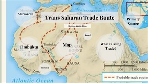 Trans Saharan Trade Route