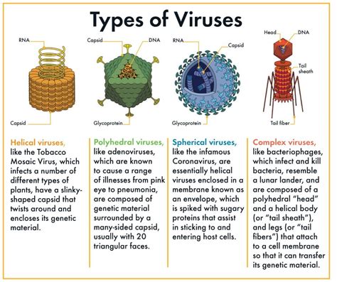 Viruses Going Around