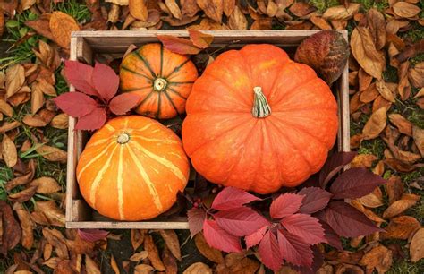 What Is The First Day Of Fall 2024