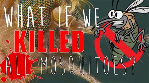 What Would Happen If We Killed All The Mosquitoes What Would Happen If We Killed All The Mosquitoes