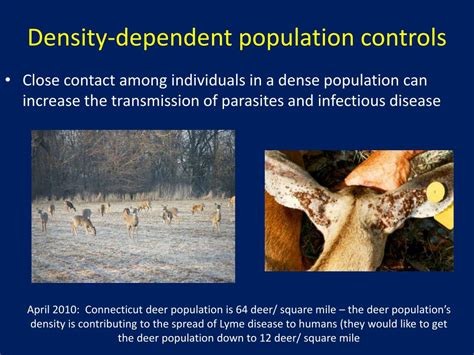 Whats A Density Dependent Could Change The Deer Population