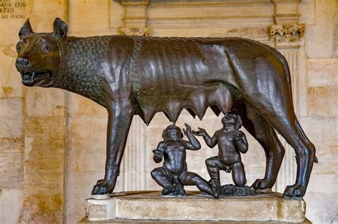 Wolf In Roman